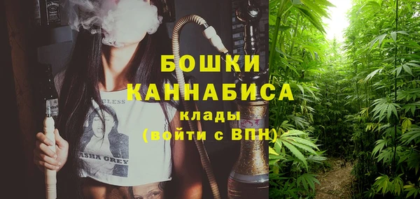метадон Михайлов